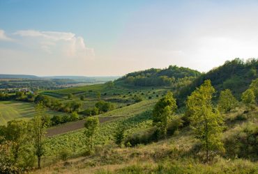 Novinky_0016_1