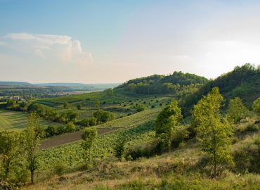 Novinky_0016_1