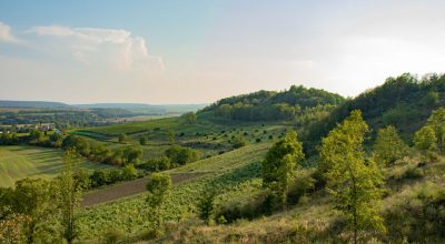 Novinky_0016_1