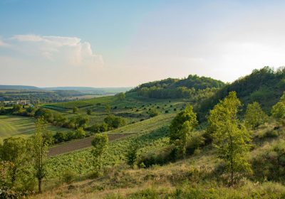 Novinky_0016_1